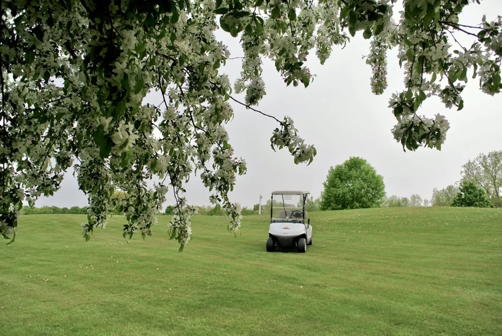 Golf Cart at Lakeside Links in Ludington, MI